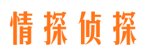 盘龙捉小三公司